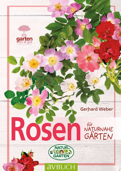 Скачать книгу Rosen