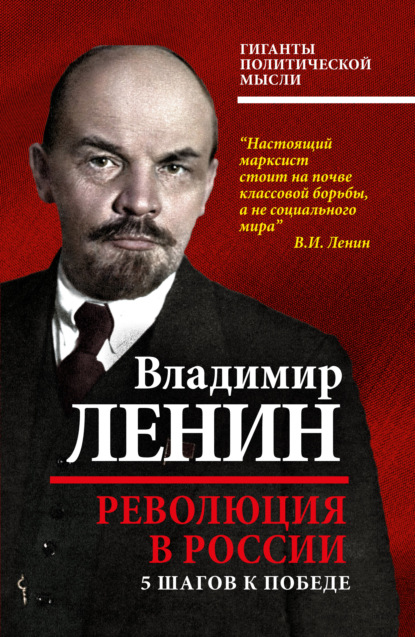 Скачать книгу Революция в России. 5 шагов к победе