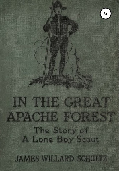 Скачать книгу В Великом лесу апачей