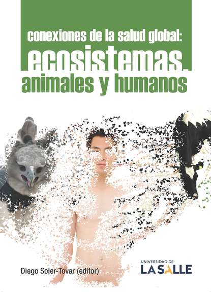 Скачать книгу Conexiones de la salud global