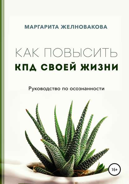 Скачать книгу Как повысить КПД своей жизни