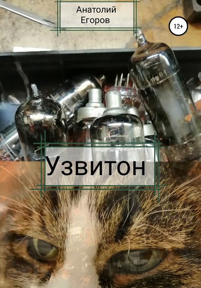 Скачать книгу Узвитон