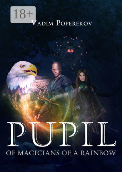 Скачать книгу Pupil of magicians of a rainbow