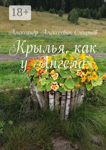 Скачать книгу Крылья, как у Ангела