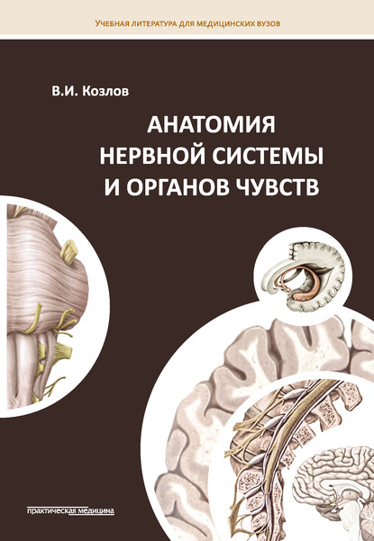 Скачать книгу Анатомия нервной системы и органов чувств