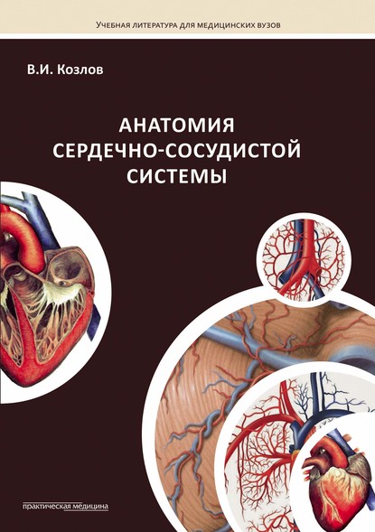 Скачать книгу Анатомия сердечно-сосудистой системы
