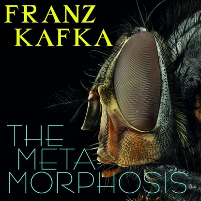 Скачать книгу The Metamorphosis