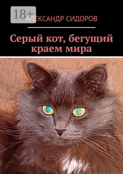 Скачать книгу Серый кот, бегущий краем мира