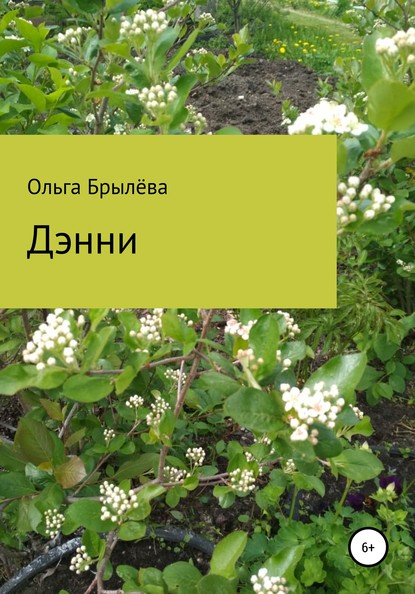 Скачать книгу Дэнни