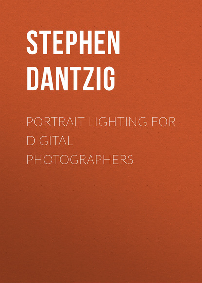 Скачать книгу N&K Die Detektive, Folge 2: Warum schweigt der Schatzsucher?