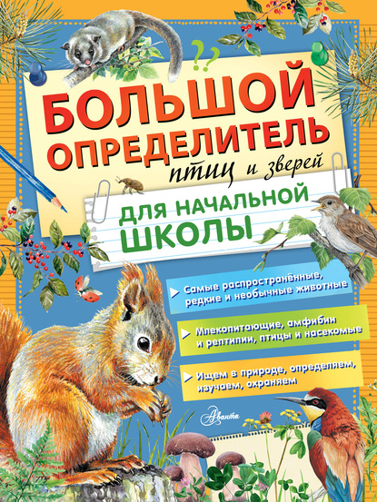 Скачать книгу Большой определитель птиц и зверей для начальной школы