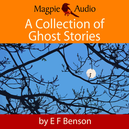 Скачать книгу A Collection of Ghost Stories (Unabridged)