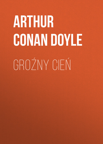 Скачать книгу Groźny cień