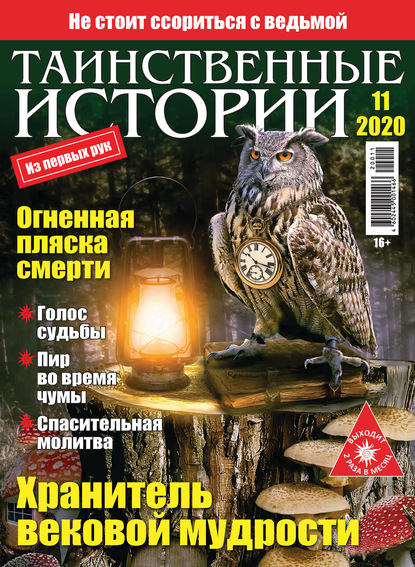 Скачать книгу Таинственные истории №11/2020