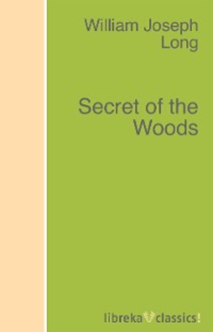 Скачать книгу Secret of the Woods