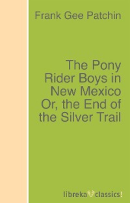 Скачать книгу The Pony Rider Boys in New Mexico Or, the End of the Silver Trail
