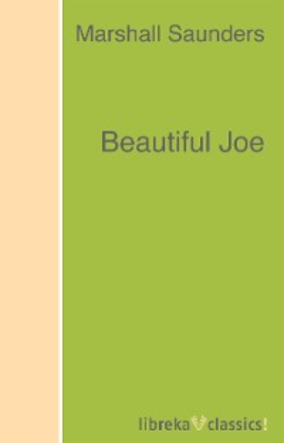 Скачать книгу Beautiful Joe