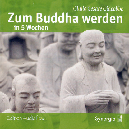 Скачать книгу Zum Buddha werden in 5 Wochen, Episode 1