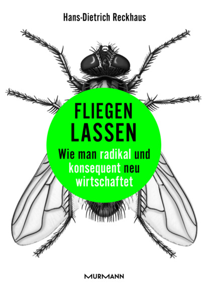 Скачать книгу Fliegen lassen