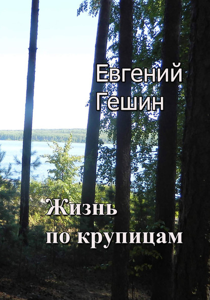 Скачать книгу Жизнь по крупицам