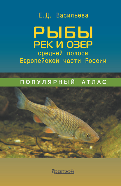 Скачать книгу Рыбы рек и озёр средней полосы Европейской части России