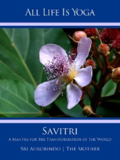 Скачать книгу All Life Is Yoga: Savitri