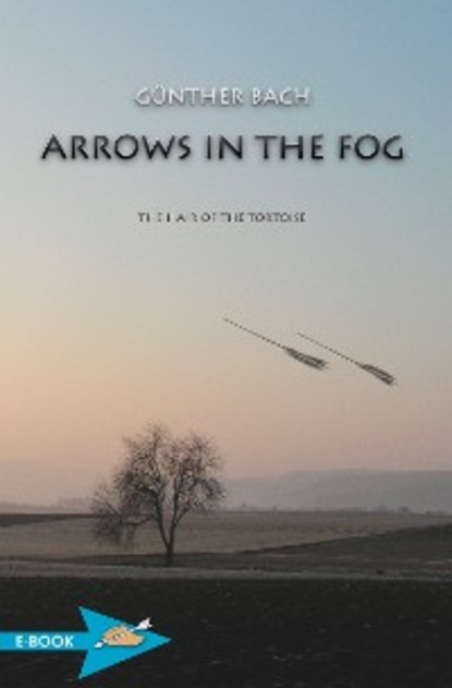 Скачать книгу Arrows In The Fog