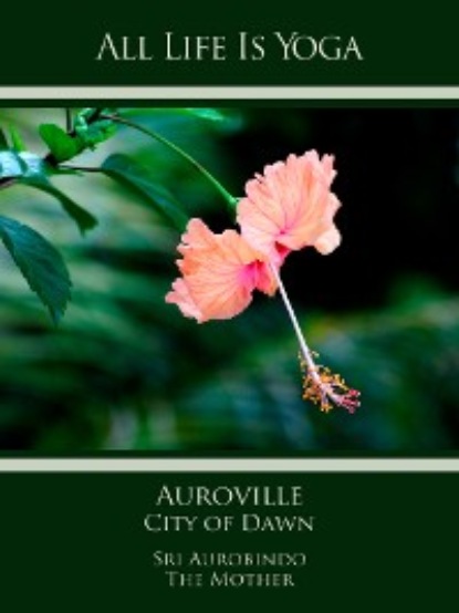 Скачать книгу All Life Is Yoga: Auroville – City of Dawn