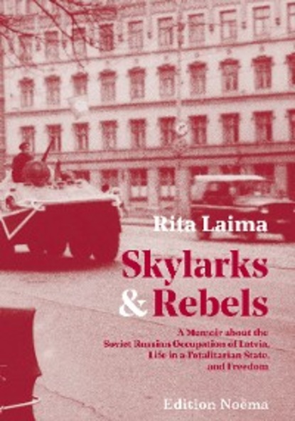 Скачать книгу Skylarks and Rebels