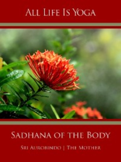 Скачать книгу All Life Is Yoga: Sadhana of the Body