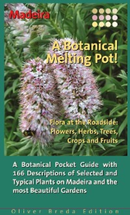 Скачать книгу Madeira