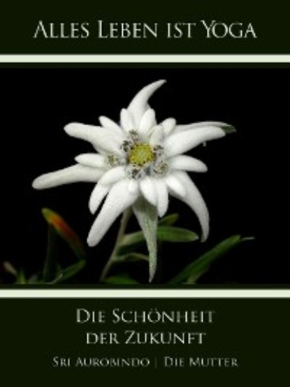 Скачать книгу Die Schönheit der Zukunft