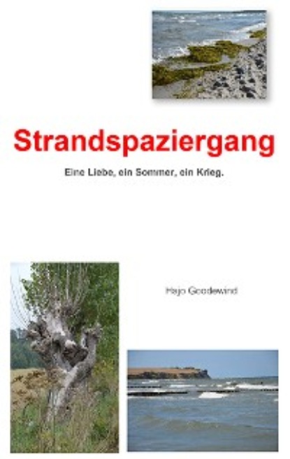 Скачать книгу Strandspaziergang