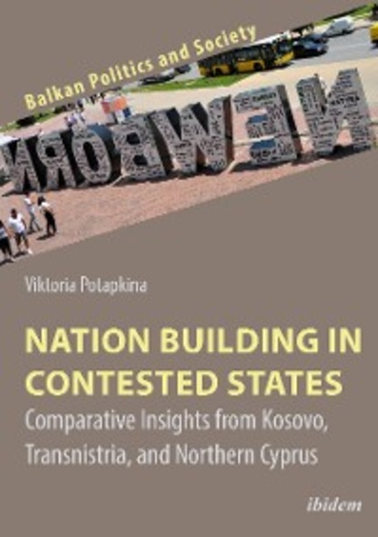 Скачать книгу Nation Building in Contested States