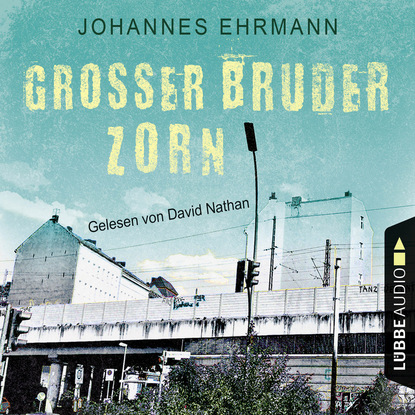 Скачать книгу Großer Bruder Zorn