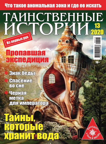 Скачать книгу Таинственные истории №13/2020