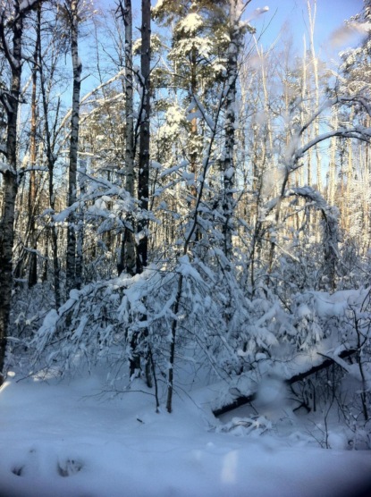 Скачать книгу Рассказы истории разных людей