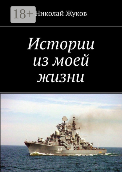 Скачать книгу Истории из моей жизни. Повесть, рассказы, очерки