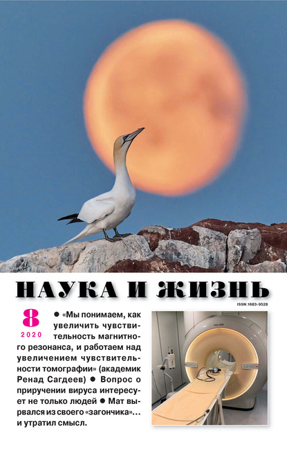 Скачать книгу Наука и жизнь №08/2020