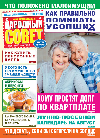Скачать книгу Народный совет №30/2020