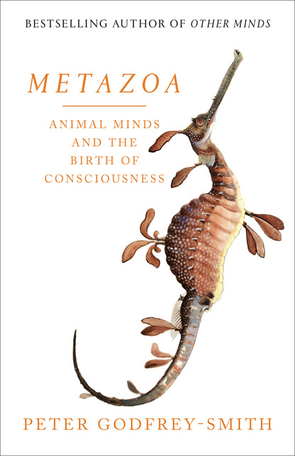 Скачать книгу Metazoa