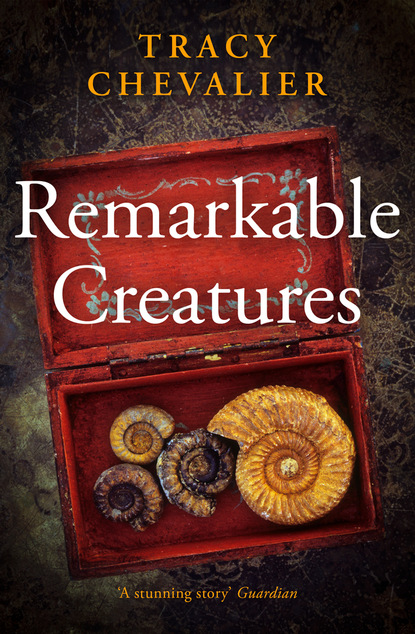 Скачать книгу Remarkable Creatures