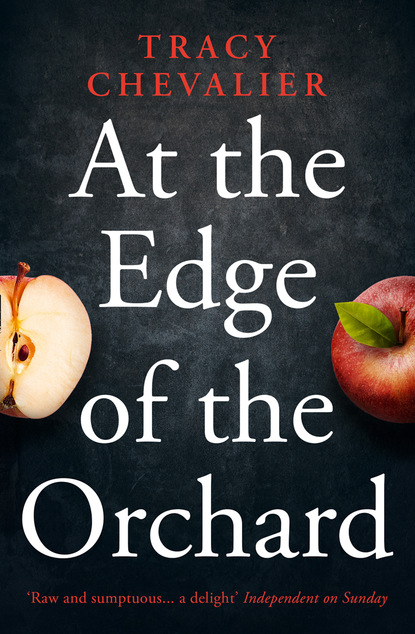 Скачать книгу At the Edge of the Orchard