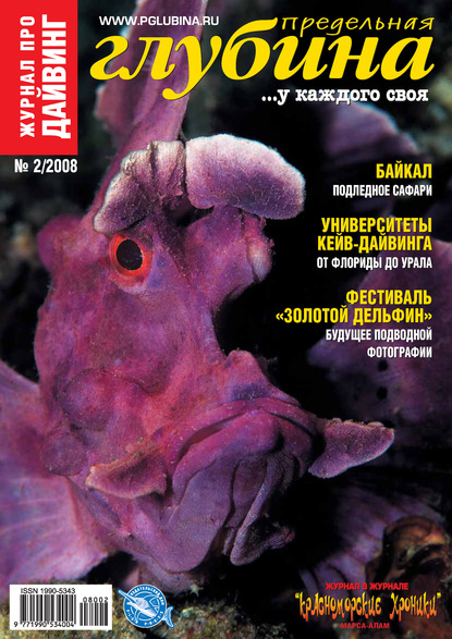 Скачать книгу Предельная Глубина №2/2008