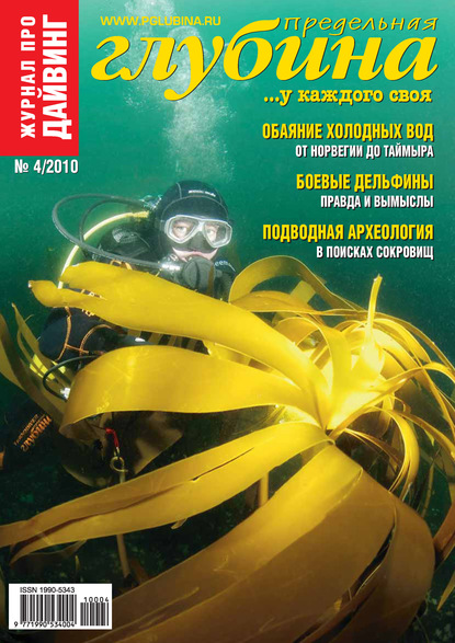 Скачать книгу Предельная Глубина №4/2010