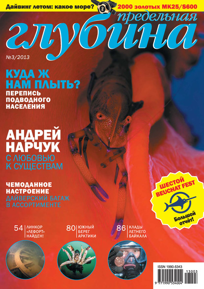 Скачать книгу Предельная Глубина №3/2013