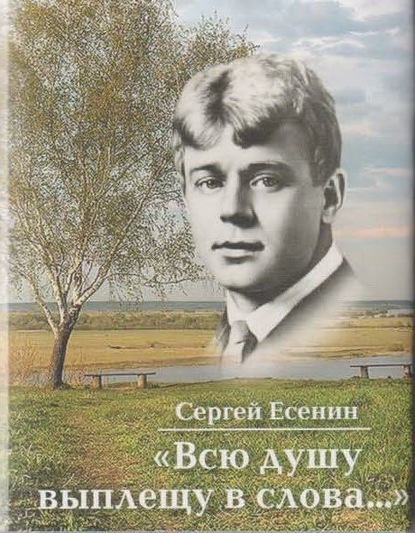 Скачать книгу Всю душу выплещу в слова…