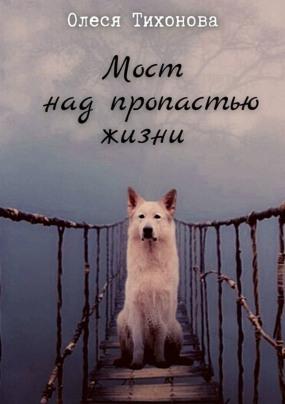 Скачать книгу Мост над пропастью жизни