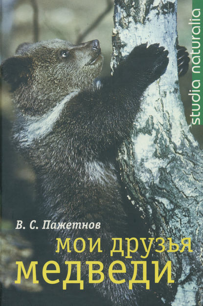 Скачать книгу Мои друзья медведи