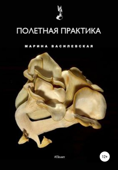 Скачать книгу Полетная практика